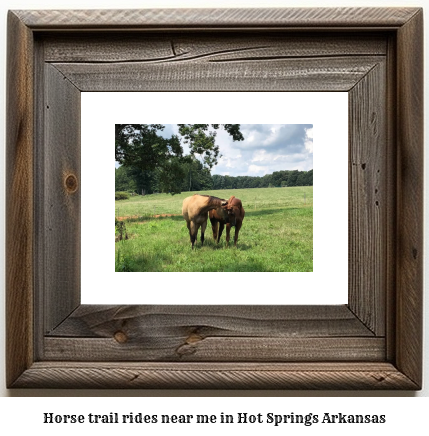 horse trail rides near me in Hot Springs, Arkansas